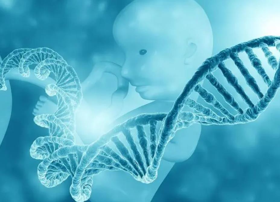 第三代试管婴儿