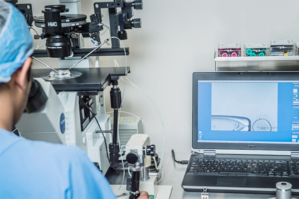 美国HRC试管医院