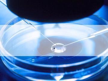 孕妇 山楂,孕妇山楂能吃吗