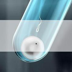 孕妇梦到红枣,孕妇梦到红枣预示着什么