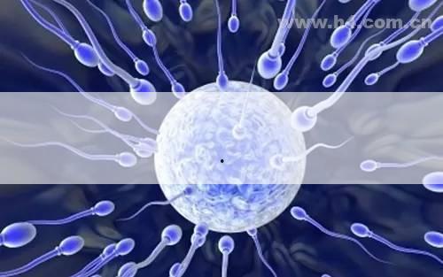 孕妇淤青,孕妇淤青可以擦什么药