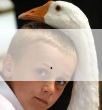 引产杭州哪家医院好,杭州哪家医院做引产不需要证明