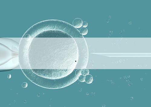 孕妇 泡面,孕妇泡面能不能吃