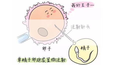 孕妇梦见朋友又怀孕,孕妇梦见朋友又怀孕了