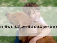 孕妇梦见好多花,孕妇梦见好多花是什么意思