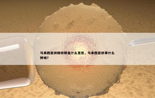 马来西亚供精供卵是什么意思，马来西亚供奉什么神明？