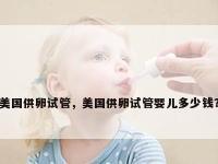 美国供卵试管，美国供卵试管婴儿多少钱？